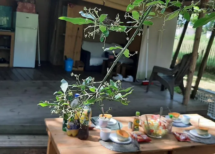 Eco 4 Etoiles Cotton Prenium Lyxtält *